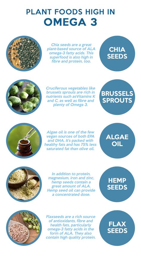 plant sources of omega 3